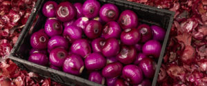 red onions